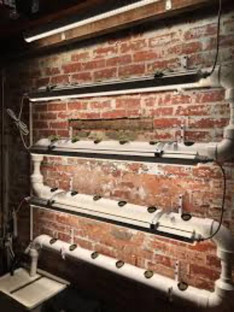 Slide of Pipe Dreams Plumbers