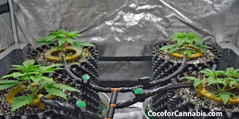 Slide of Pipe Dreams Plumbers