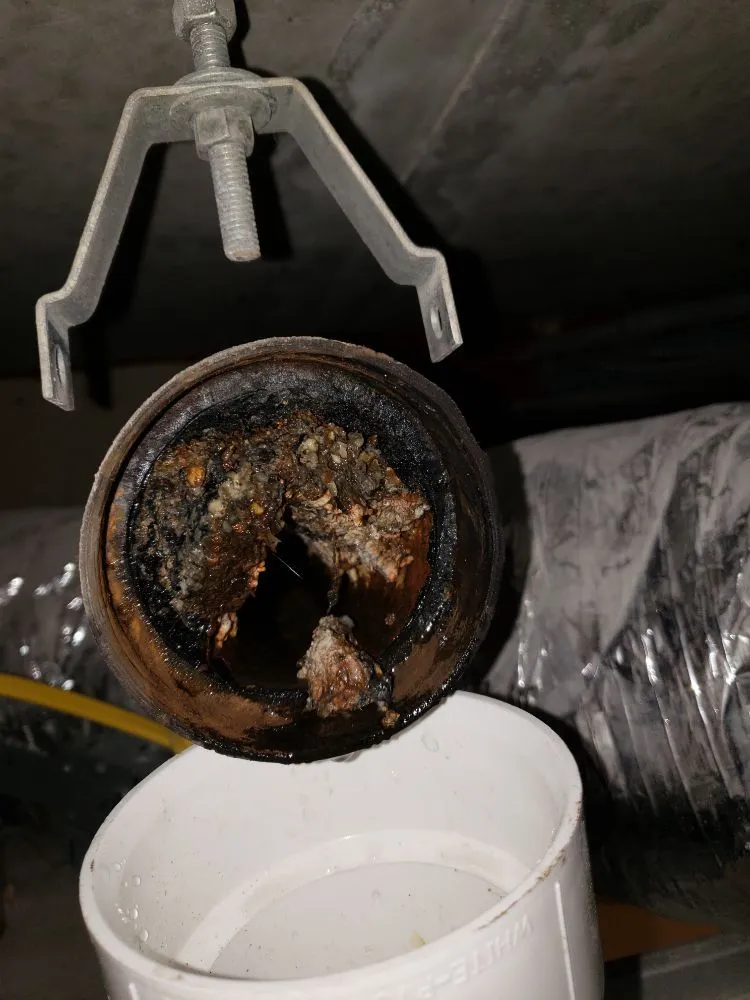 Slide of Pipe Dreams Plumbing