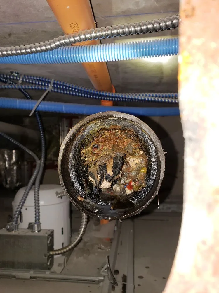 Slide of Pipe Dreams Plumbing