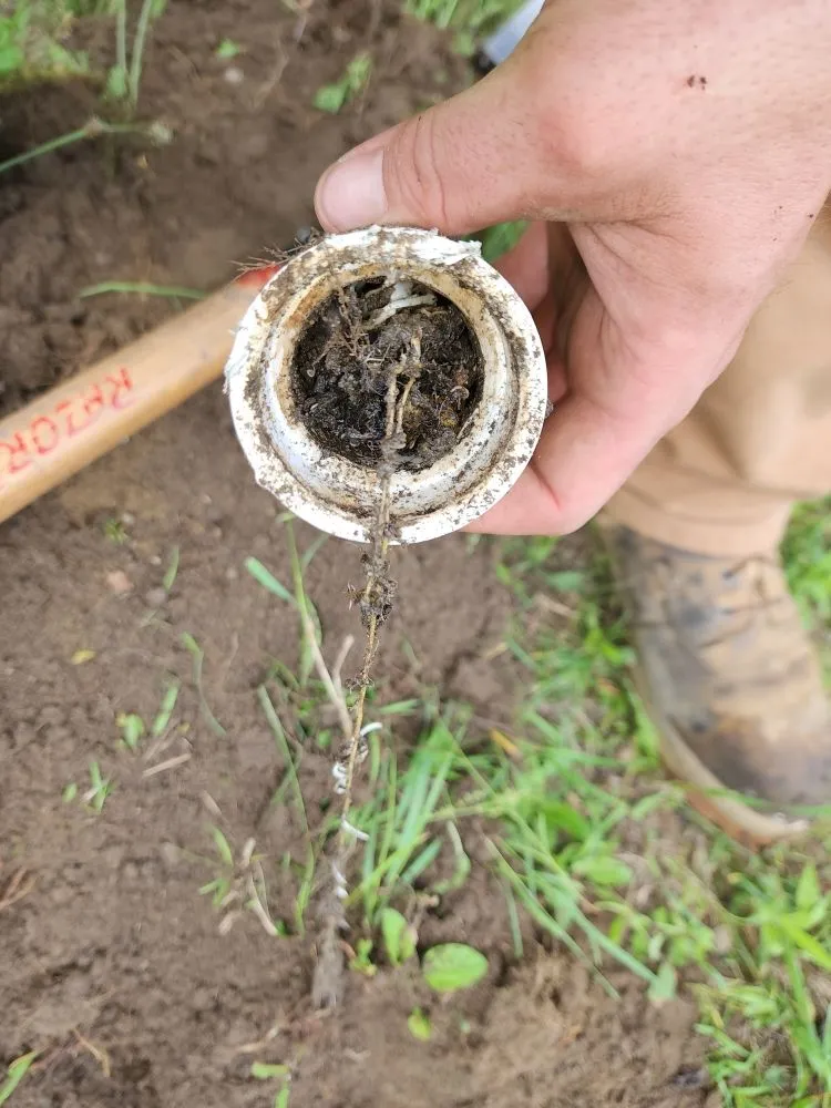 Slide of Pipe Dreams Sewer & Drain