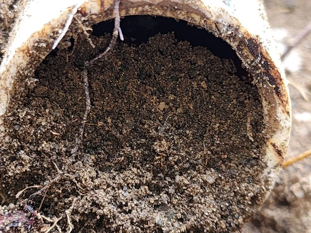 Slide of Pipe Dreams Sewer & Drain