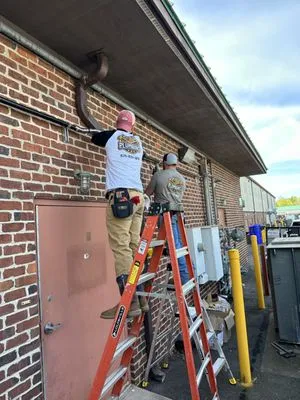 Pipe Hitter Plumbing