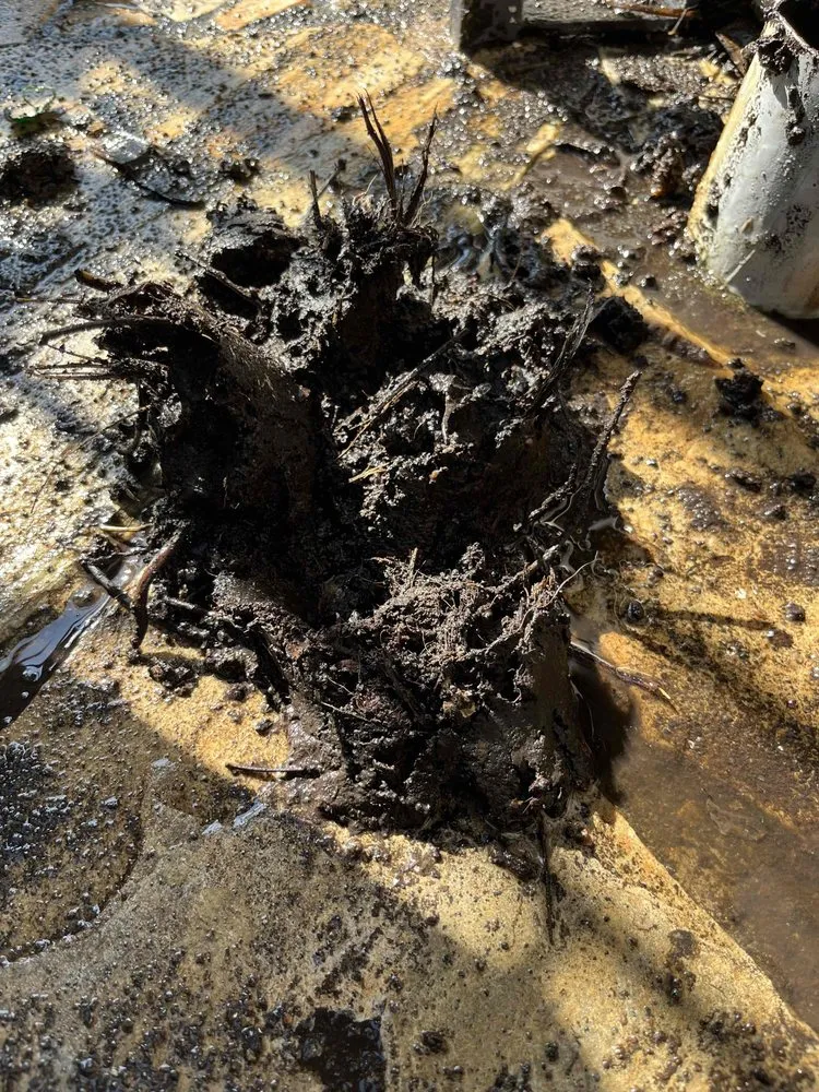 Slide of Pipe Masters