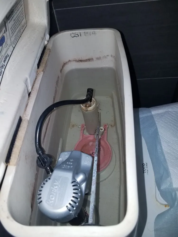 Slide of Pipe Monkeys Sewer and Drain