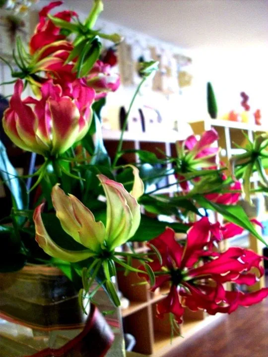 Slide of Pipe Rooter