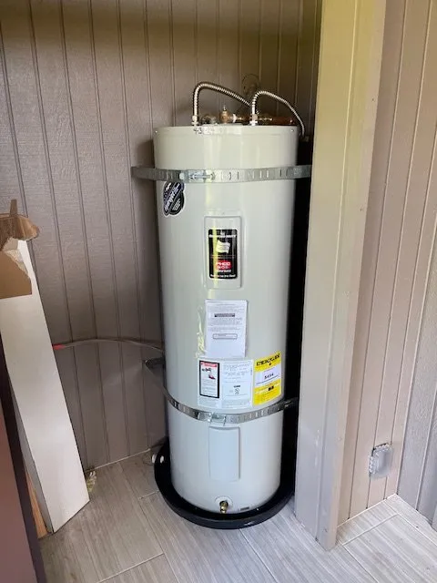 Slide of Pipe Sharks