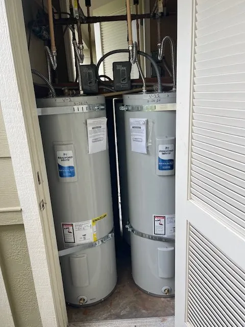 Slide of Pipe Sharks