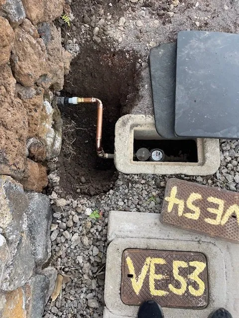 Slide of Pipe Sharks