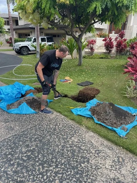 Slide of Pipe Sharks