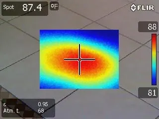 Slide of Pipe Sharks