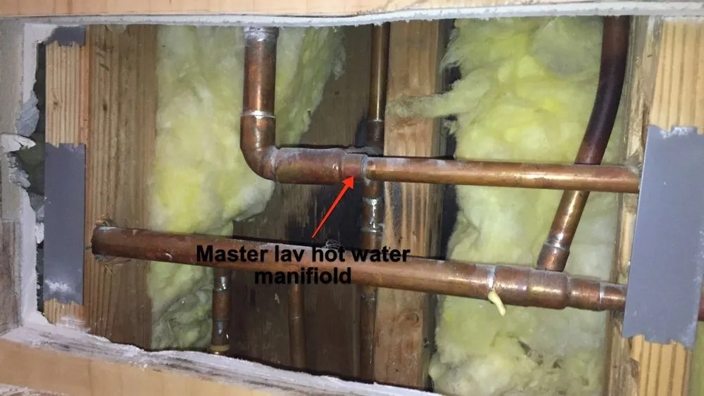 Slide of Pipe Sharks