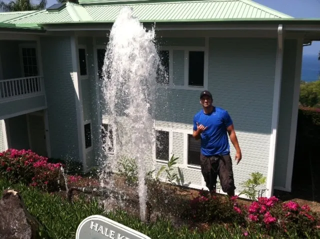 Slide of Pipe Sharks