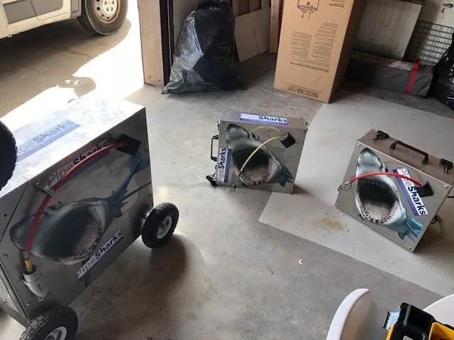 Slide of Pipe Sharks