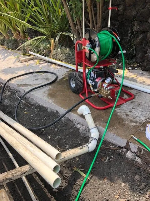 Slide of Pipe Sharks