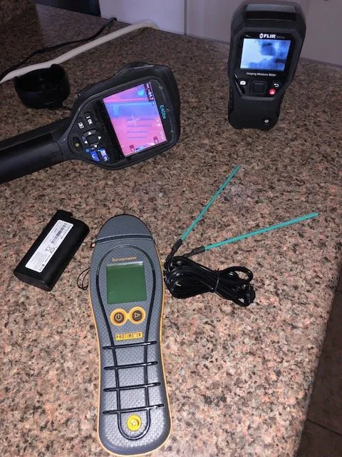 Slide of Pipe Sharks