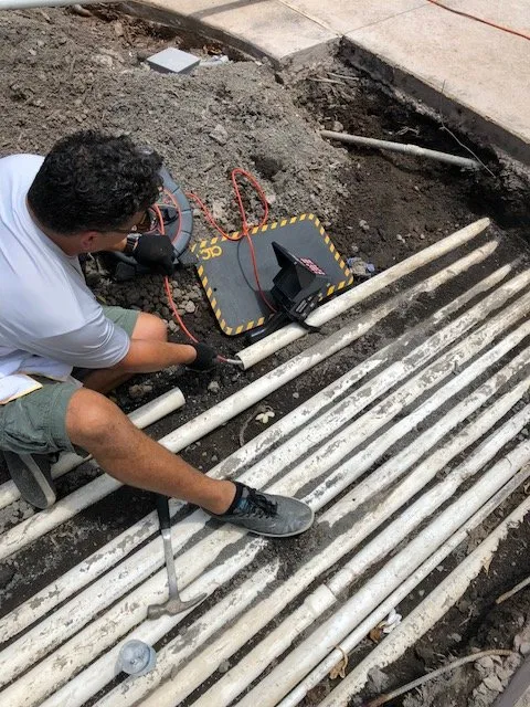 Slide of Pipe Sharks