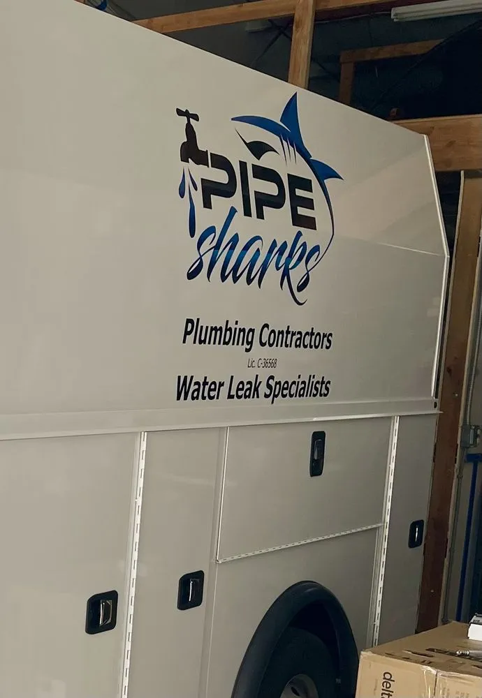 Slide of Pipe Sharks