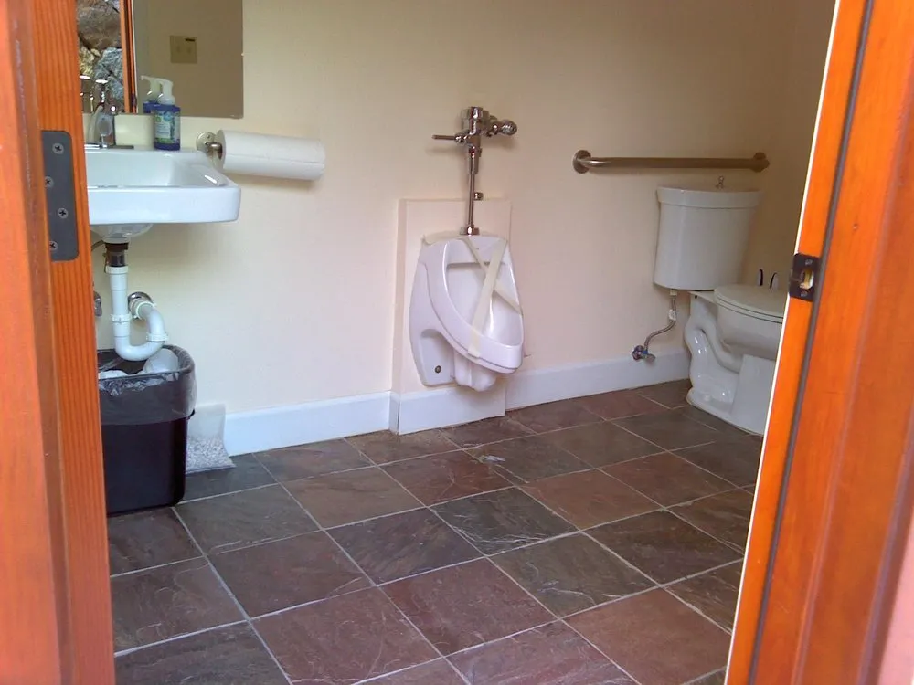 Slide of Pipe Sharks