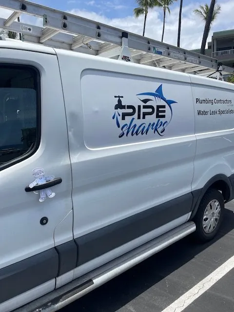 Slide of Pipe Sharks