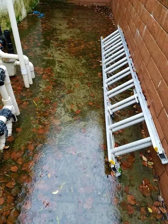 Professional emergency plumbing for homes in Murrieta, CA by Pipeline Plumbing & Drain Specialists