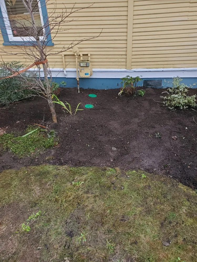 Emergency drain cleaning experts serving Maple Valley, WA - Pipelining Northwest