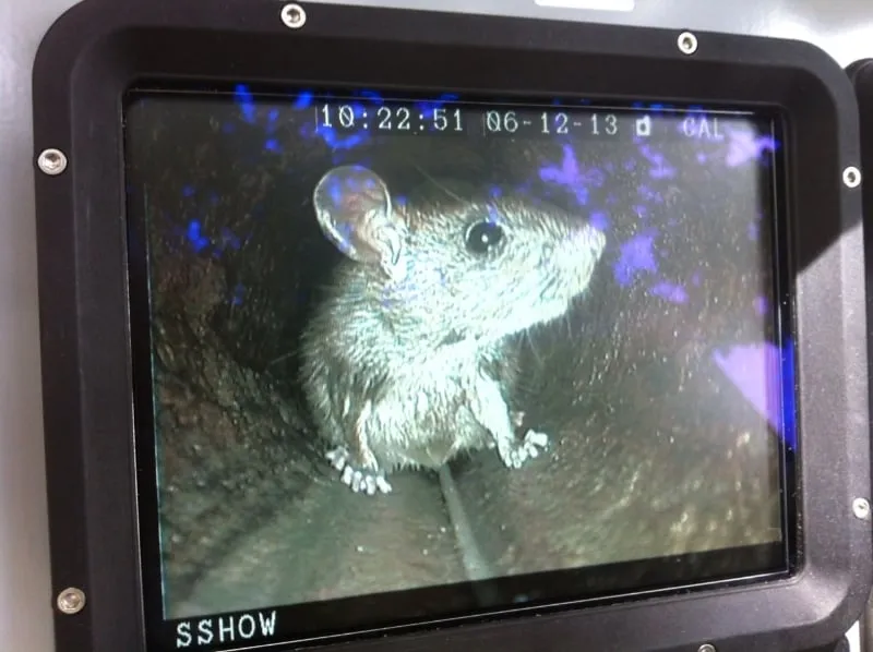 Slide of Pipelining Technologies