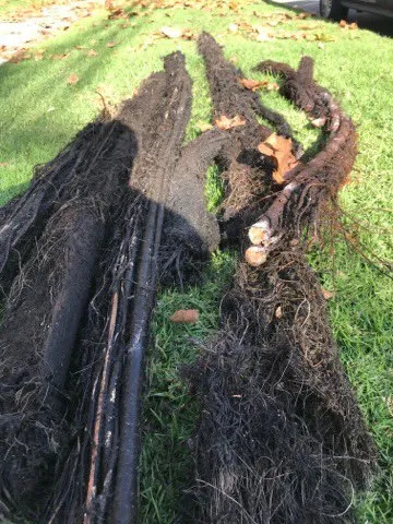 Slide of Piper Plumbing