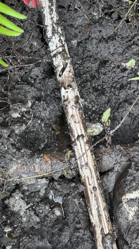 Slide of Pipes Patrol