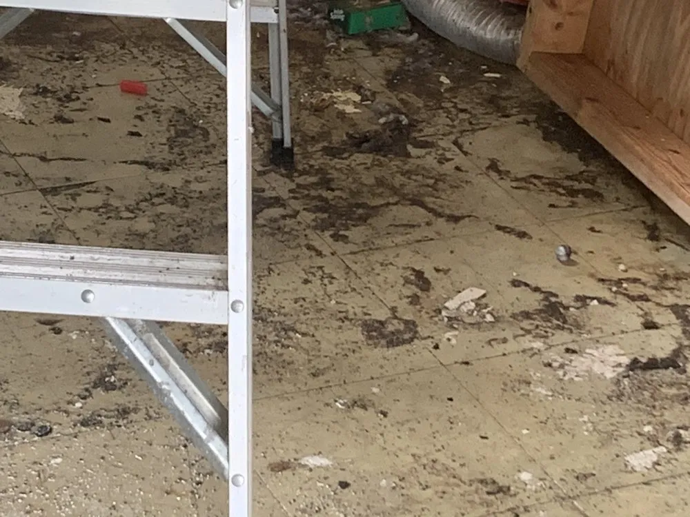 Slide of Pipes Plumbing