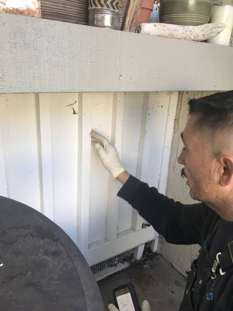 Slide of Pipey's Plumbing