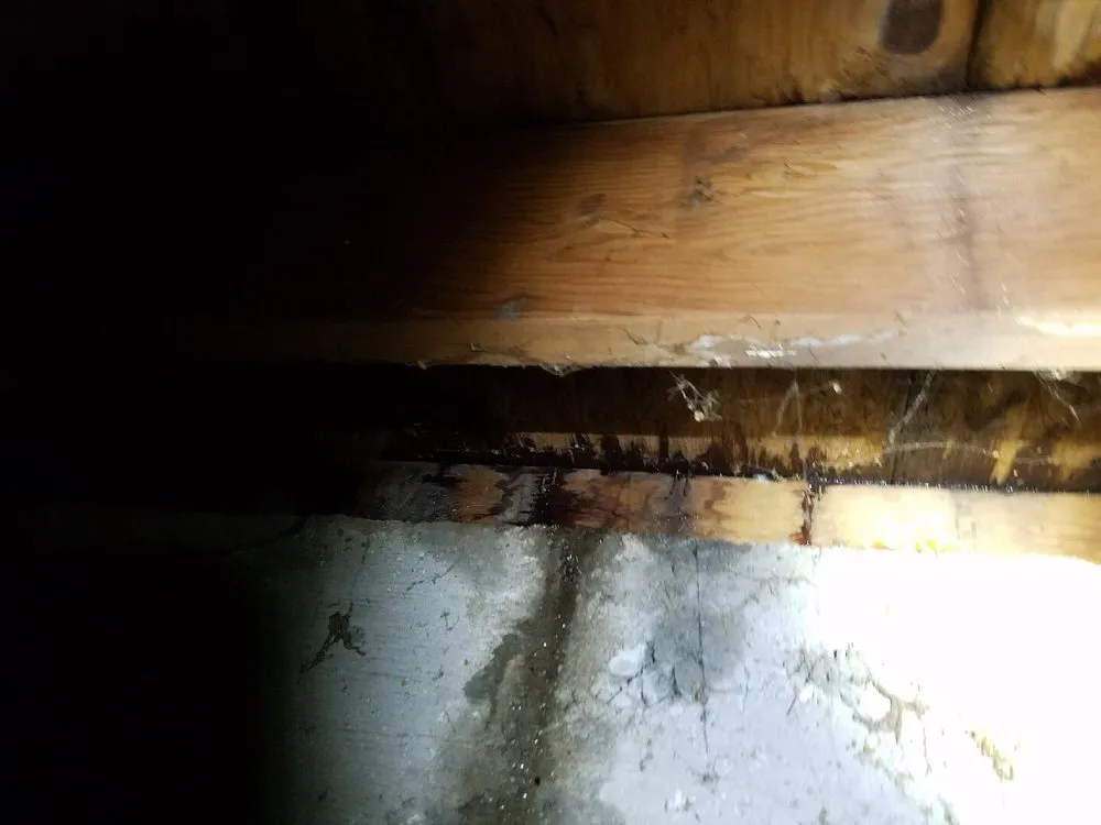 Slide of Pipey's Plumbing