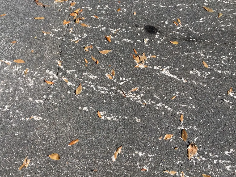 Slide of Pirates Plumbing