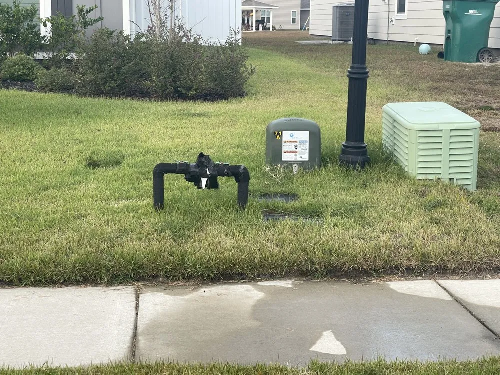 Slide of Pisces Backflow Services