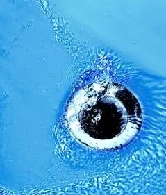 Slide of Pittinger Plumbing