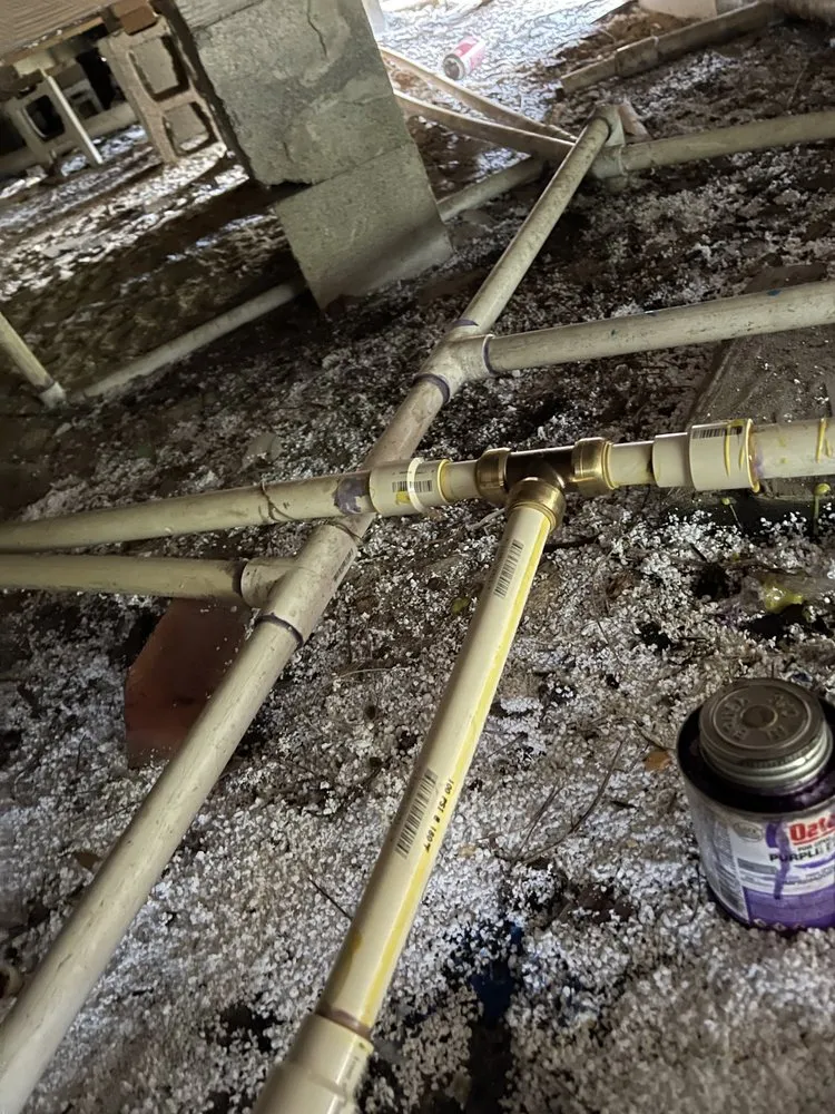 Slide of Pitts Restoration