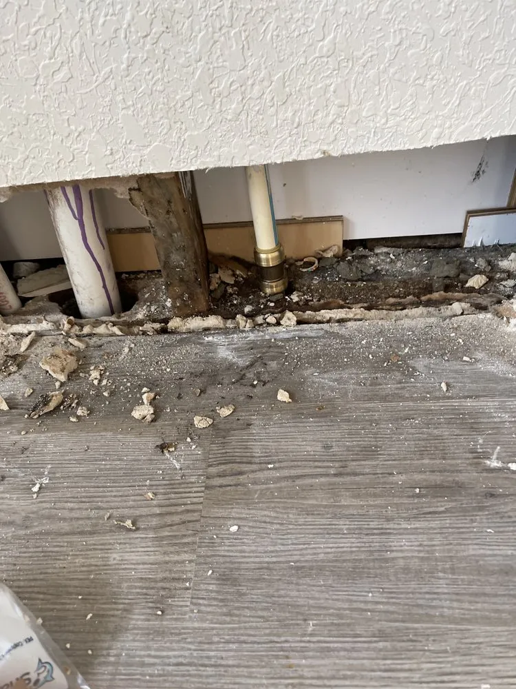 Slide of Pitts Restoration