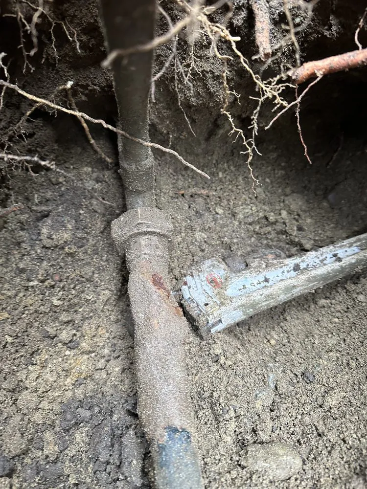 Slide of PJ The Plumber