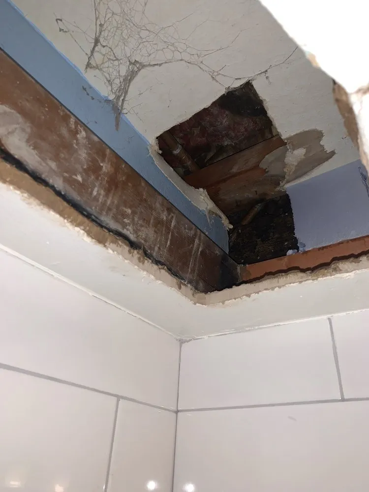 Trusted emergency plumbing for homes in Boulder, CO by Planet Plumbing & Drain