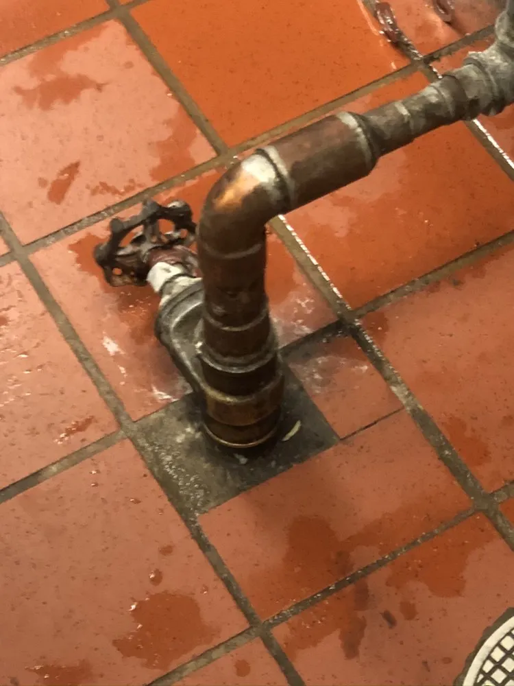 Slide of Platinum Plumbing