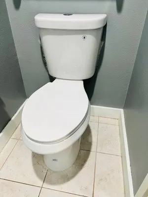 Platinum Plumbing Logo