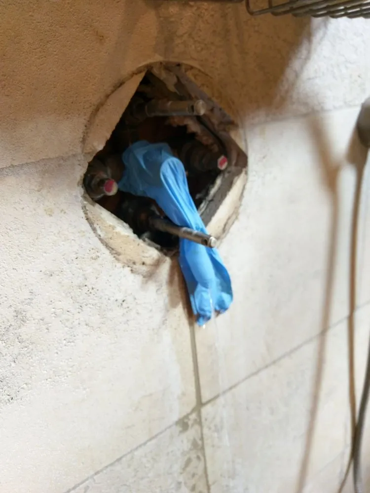 Slide of Platinum Services