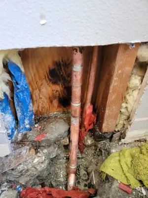 Plomero Express Logo