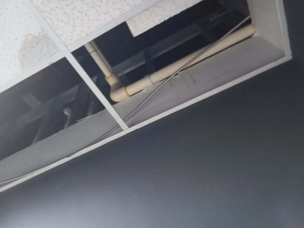 Slide of Plomero Global