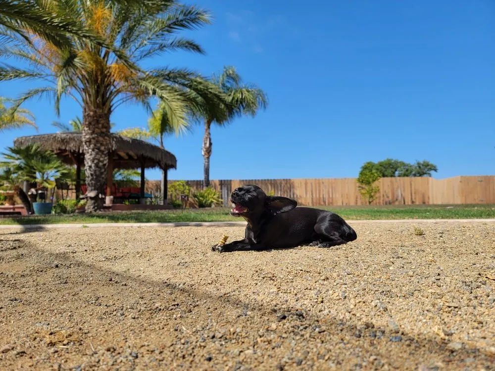 Slide of Plomero Plumbing Pg