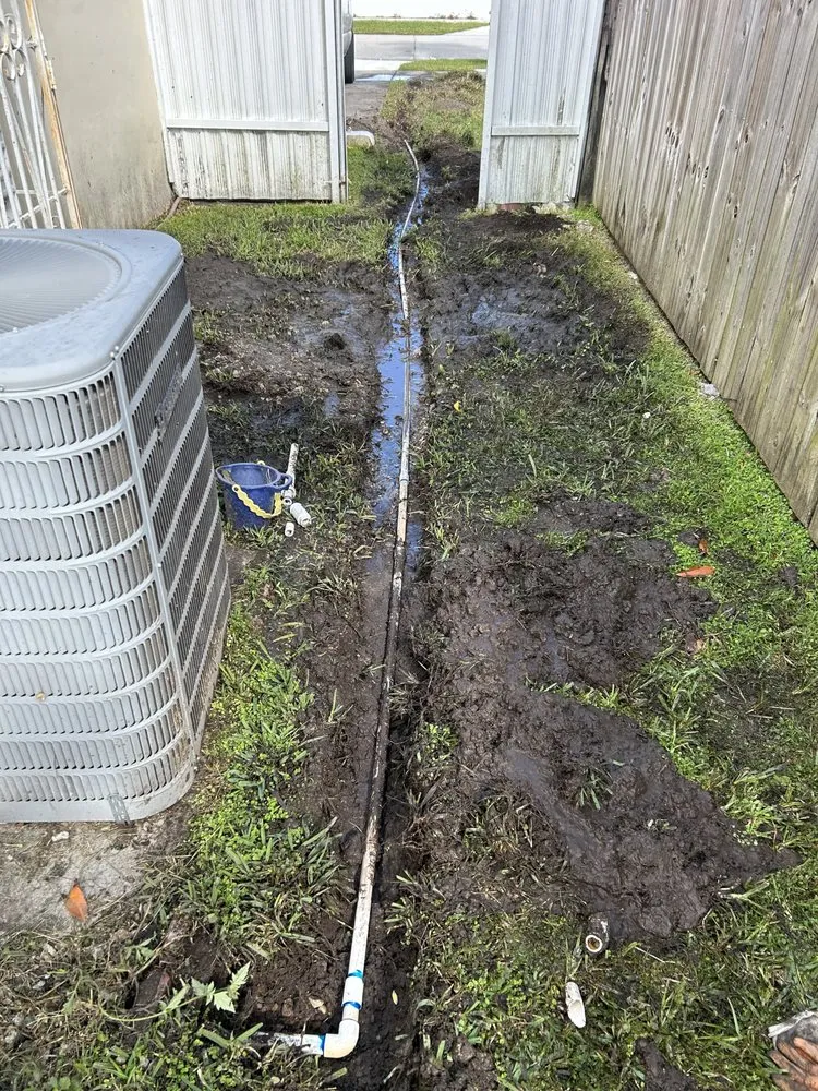 Slide of Plomeros Leon