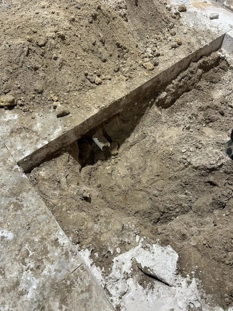 Slide of Plomeros Leon