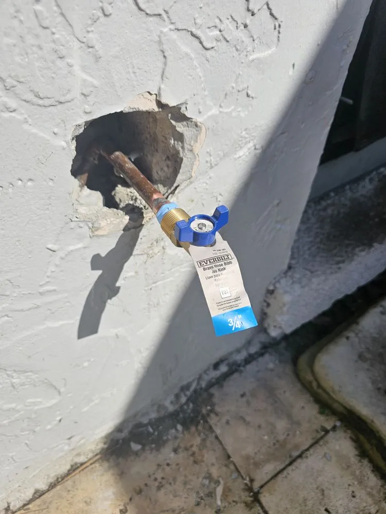 Slide of Plomeros Leon