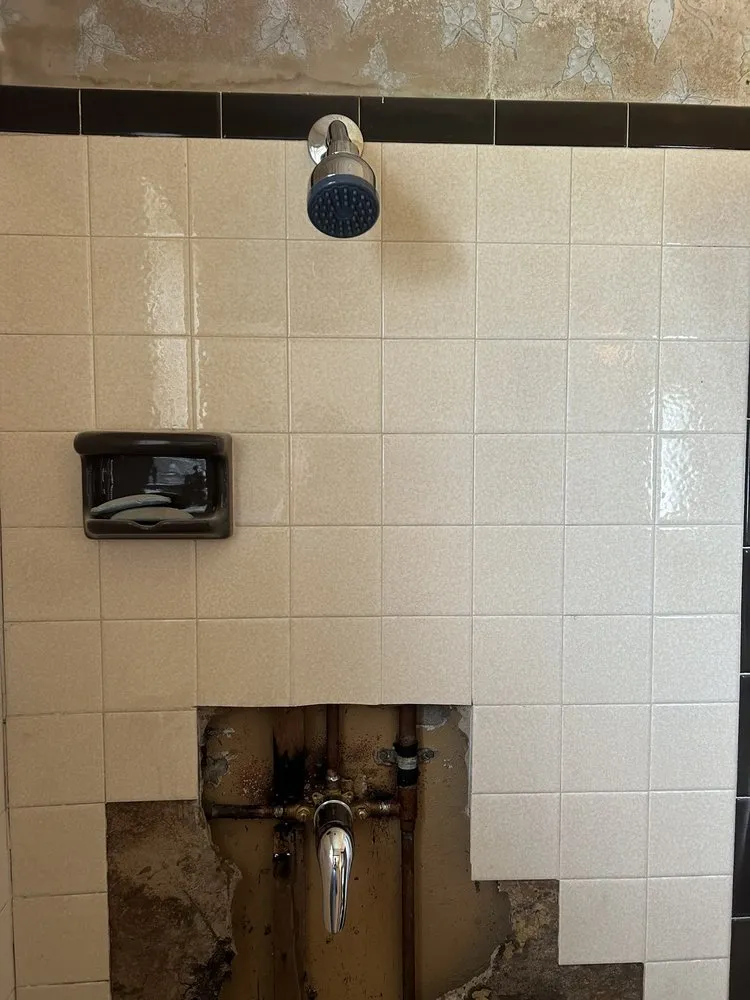 Slide of Plomeros Leon