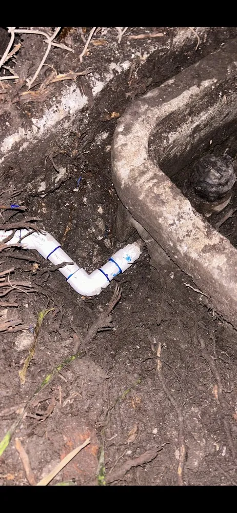 Slide of Plomeros Leon